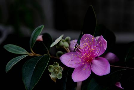 图片 _ 第(3)张