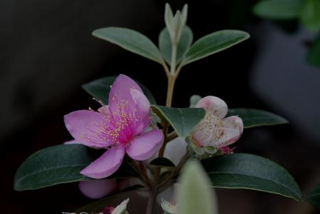 图片 _ 第(9)张