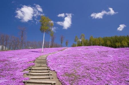 图片 _ 第(6)张