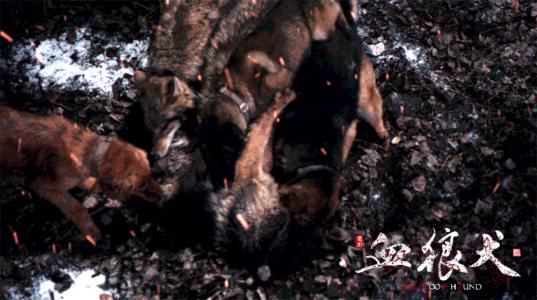 苏俄猎狼犬图片 动物狗图片 狩猎犬图片大全第1张