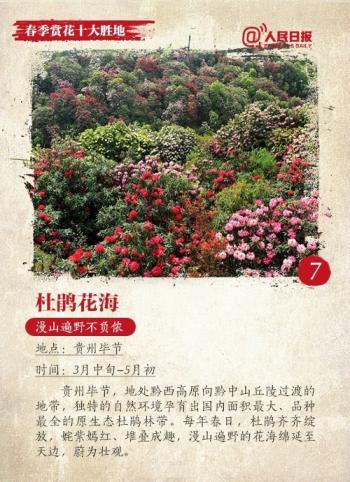 旅游壁纸图片 _ 第(8)张