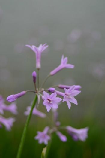 图片 _ 第(10)张
