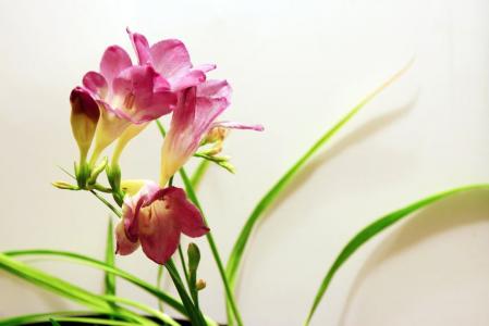 第0张