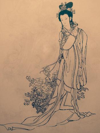 主持人张羽图片  央视主持人图片第4张