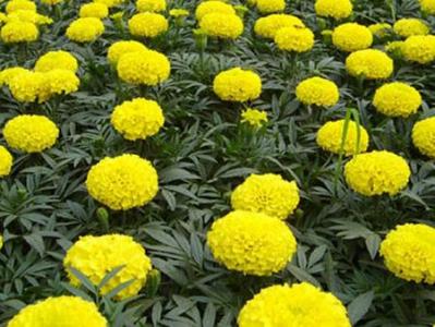 图片 _ 第(8)张