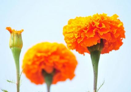 图片 _ 第(9)张