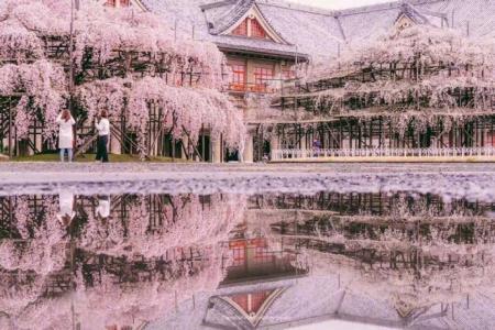 旧金山海边的浪漫情人节第0张