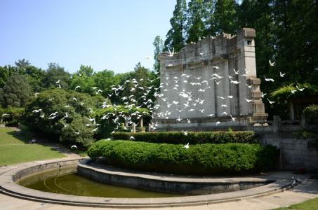 美丽风景图图片 _ 第(10)张
