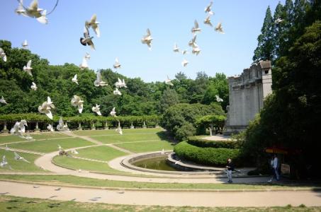 美丽风景图图片 _ 第(12)张