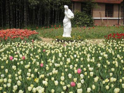 美丽风景图图片 _ 第(4)张