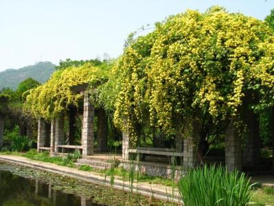 美丽风景图图片 _ 第(7)张