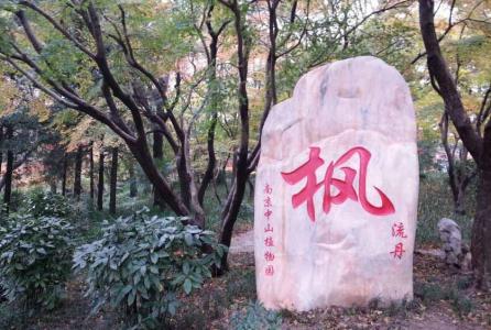 美丽风景图图片 _ 第(16)张
