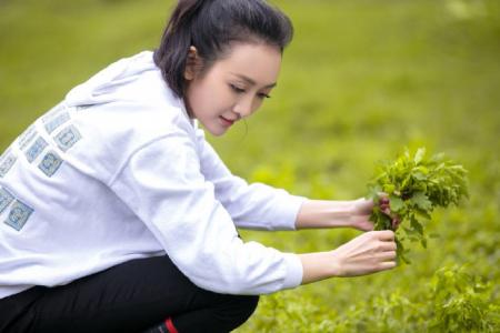天天向上图片 _ 第(3)张