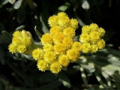 图片 _ 第(8)张