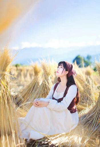 麦田第6张