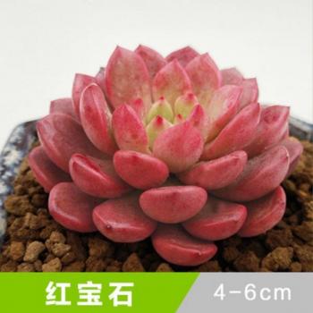 图片 _ 第(1)张