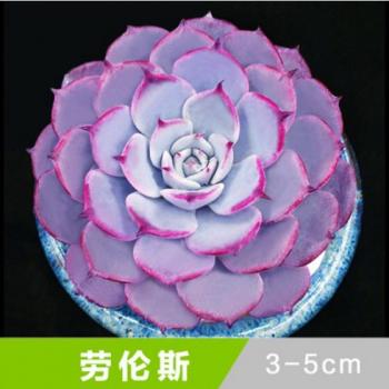 图片 _ 第(2)张