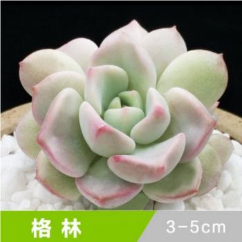 图片 _ 第(6)张