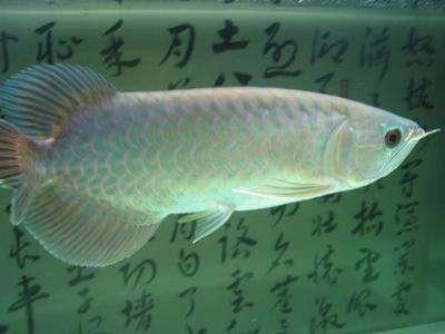 图片 _ 第(4)张