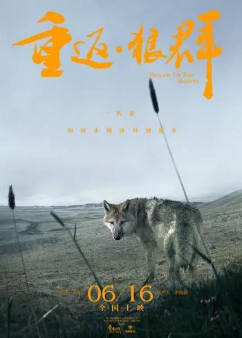图片 _ 第(2)张