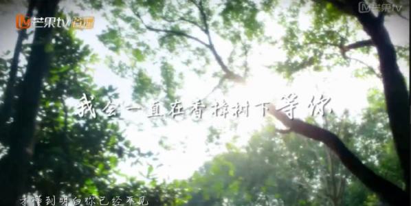 电视剧《夏至未至》单人海报图片第4张