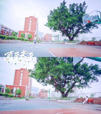 鹿鼎记开机曝韩栋张檬等主角剧照第0张