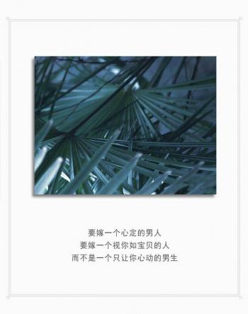文字图片 _ 第(8)张