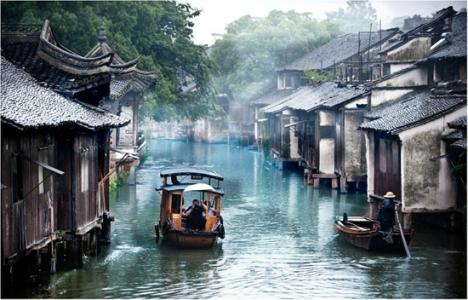 视角独特极具意境的喵星人逗比瞬间摄影图片第2张