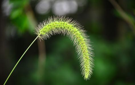 图片 _ 第(6)张