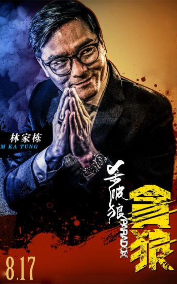 狼图片图片 _ 第(8)张