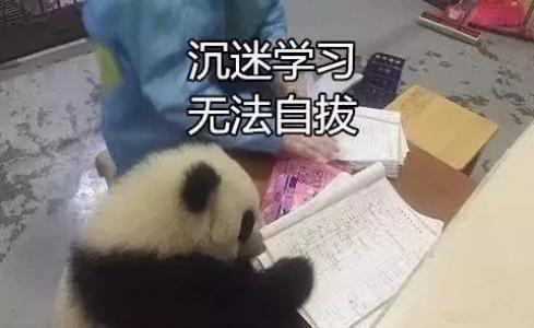 熊猫异形鱼图片 观赏鱼图片第2张
