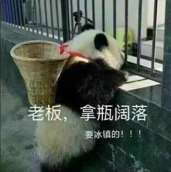 熊猫异形鱼图片 观赏鱼图片第6张