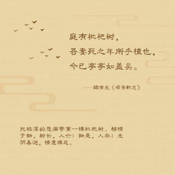 文字图片 _ 第(3)张