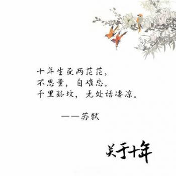 文字图片 _ 第(3)张