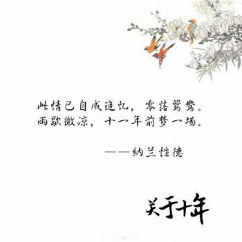文字图片 _ 第(10)张