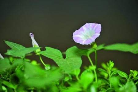 图片 _ 第(9)张