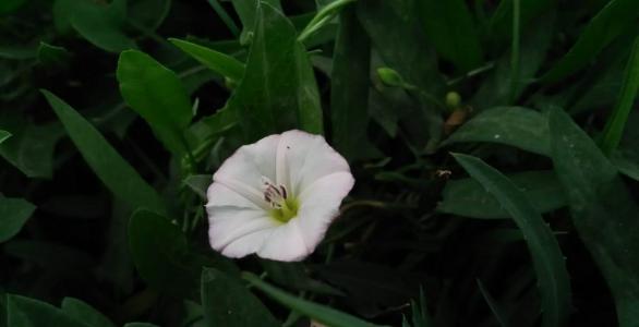 图片 _ 第(10)张