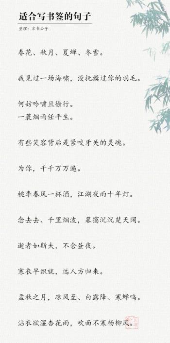 文字图片 _ 第(5)张