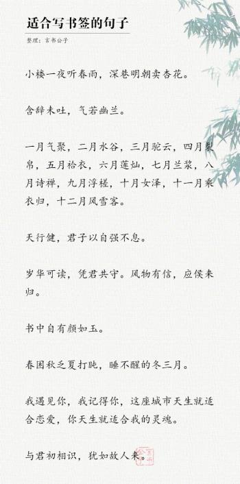 文字图片 _ 第(9)张