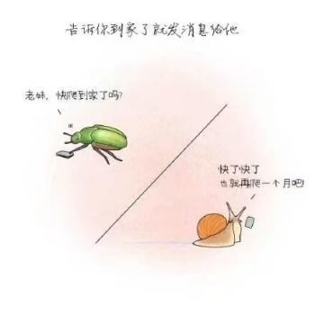 文字图片 _ 第(1)张