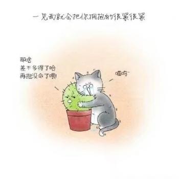 文字图片 _ 第(3)张
