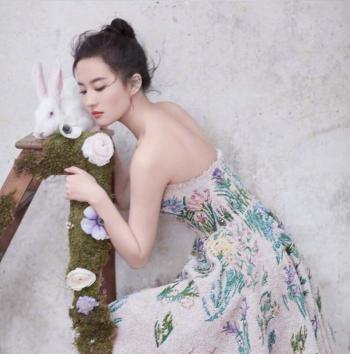 刘亦菲图片 _ 第(6)张