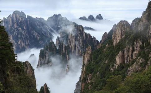 唯美秋季落叶景色图片手机壁纸第4张