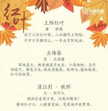 用东野圭吾的方式说爱你唯美文字图片第3张