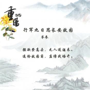 文字图片 _ 第(4)张