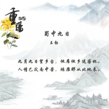 文字图片 _ 第(9)张