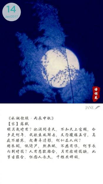 文字图片 _ 第(4)张