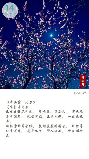 文字图片 _ 第(9)张