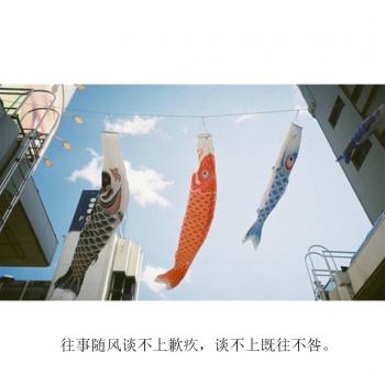 文字图片 _ 第(4)张