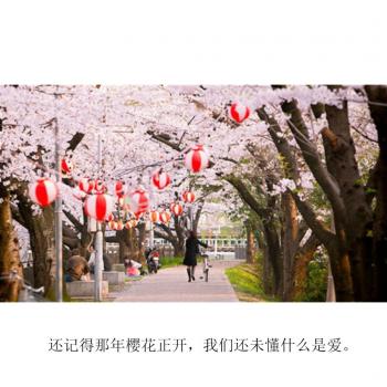 文字图片 _ 第(7)张